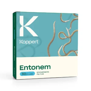 Nematode kit mod søgemyg. Inkl. klisterfælder og holdere